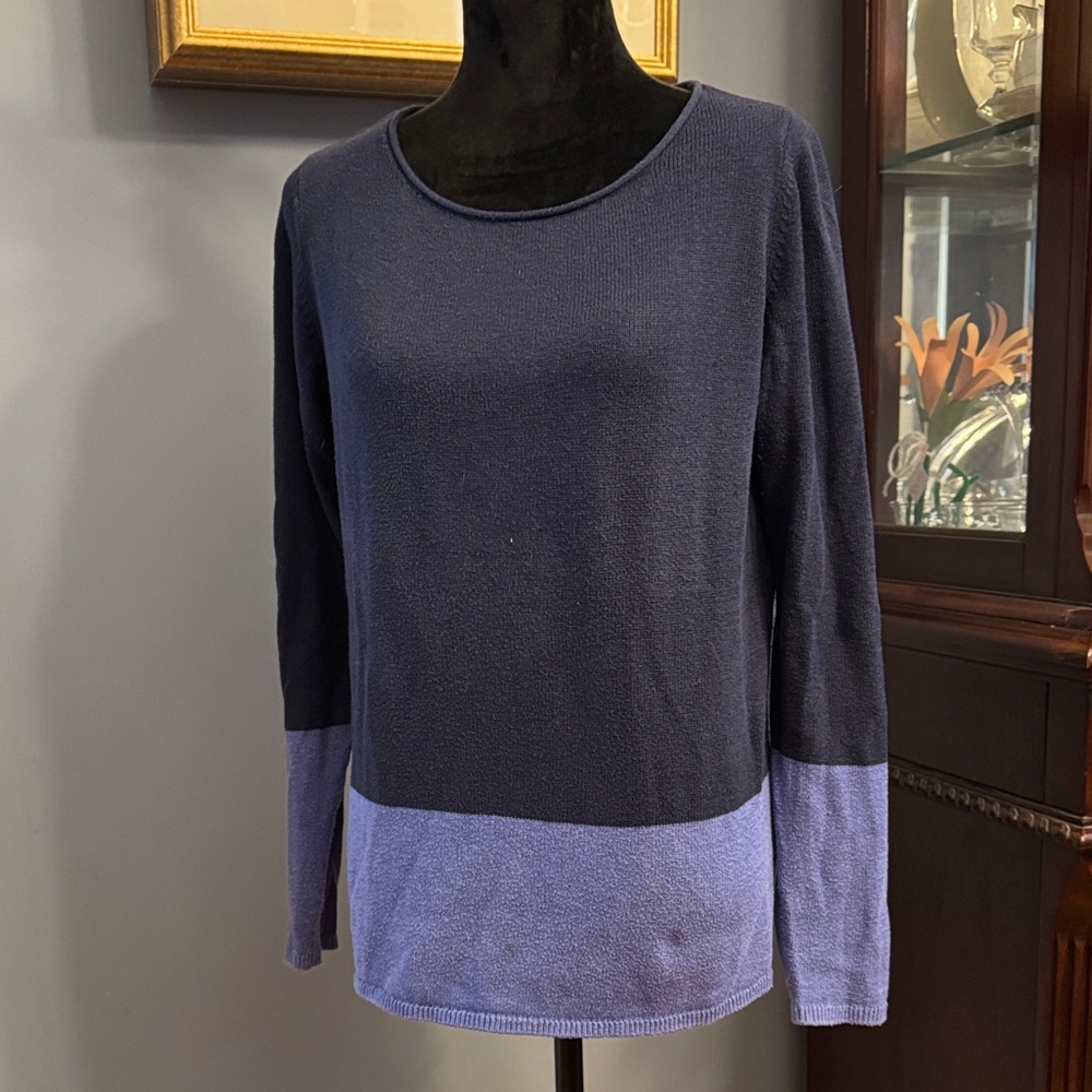 Color blocked Blue Sweater